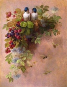 Картинки для декупажа птицы