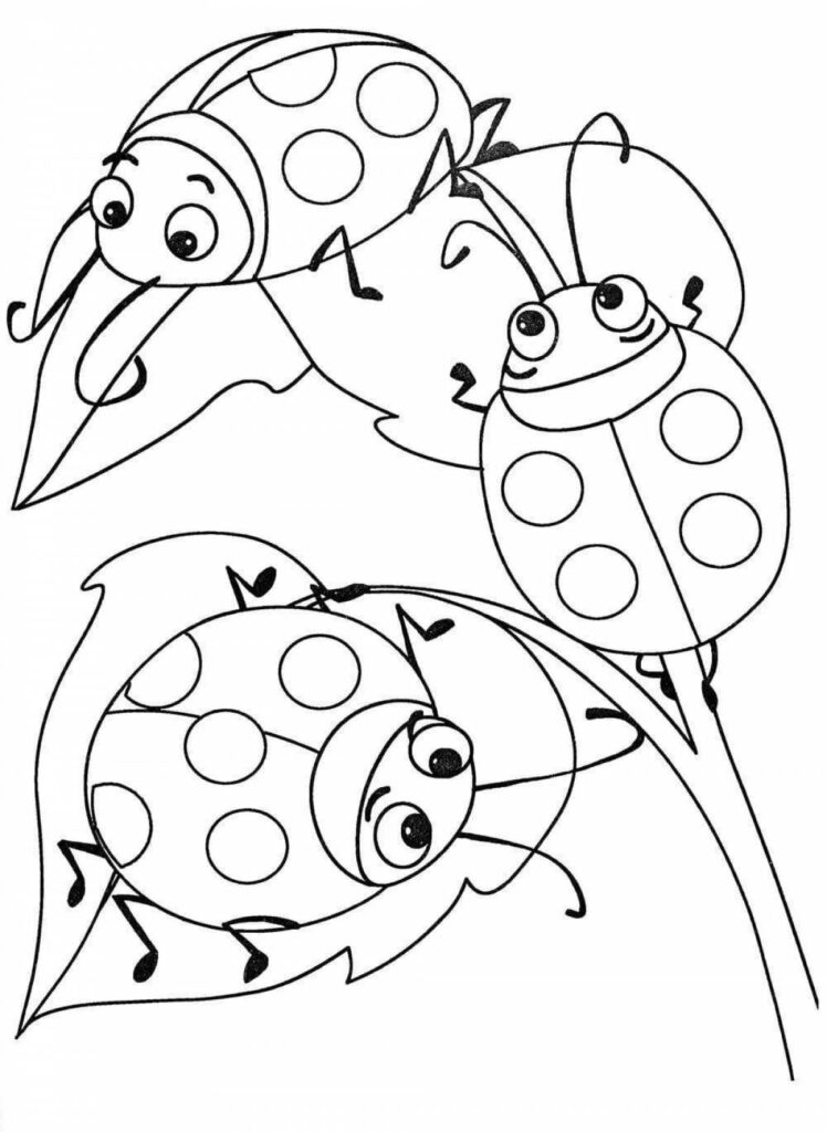 раскраска божьих коровок