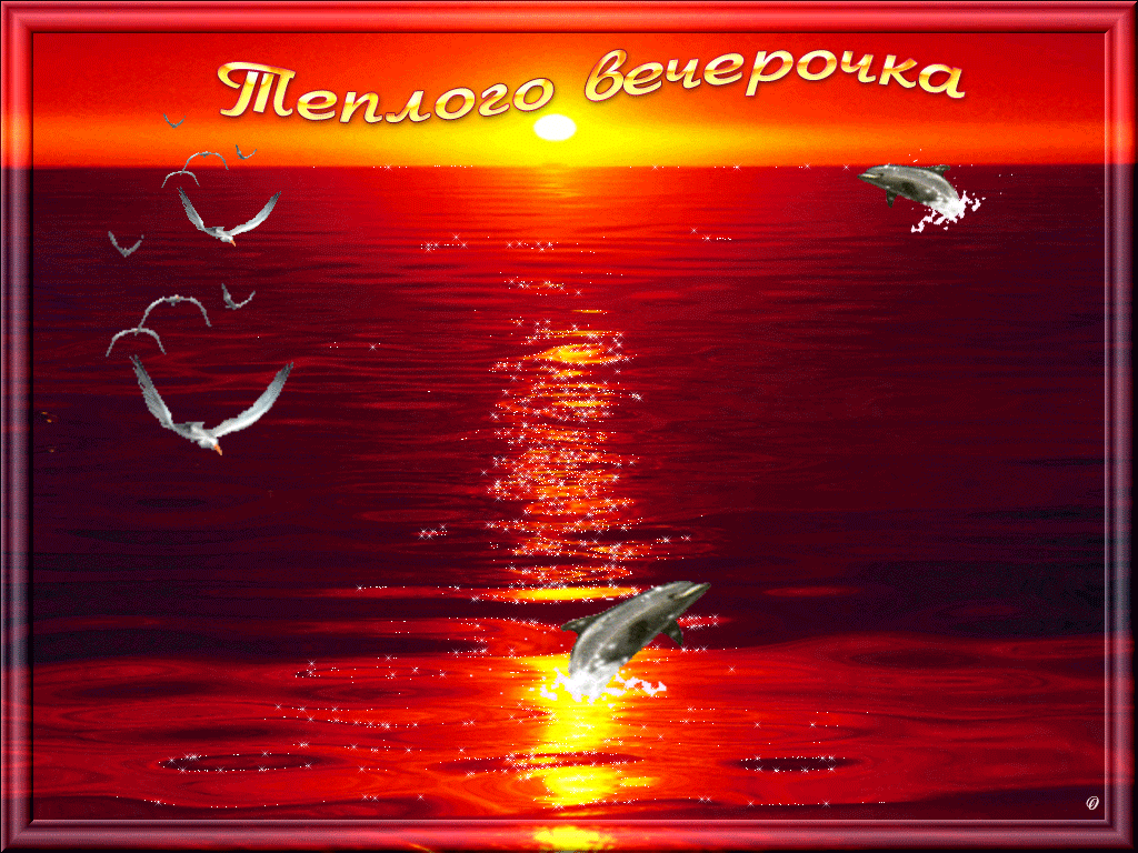 Дельфины и чайки 15