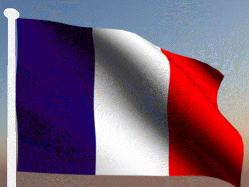 Флаг Франции 11 Flag of France 11