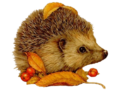Гифка ёжик 602