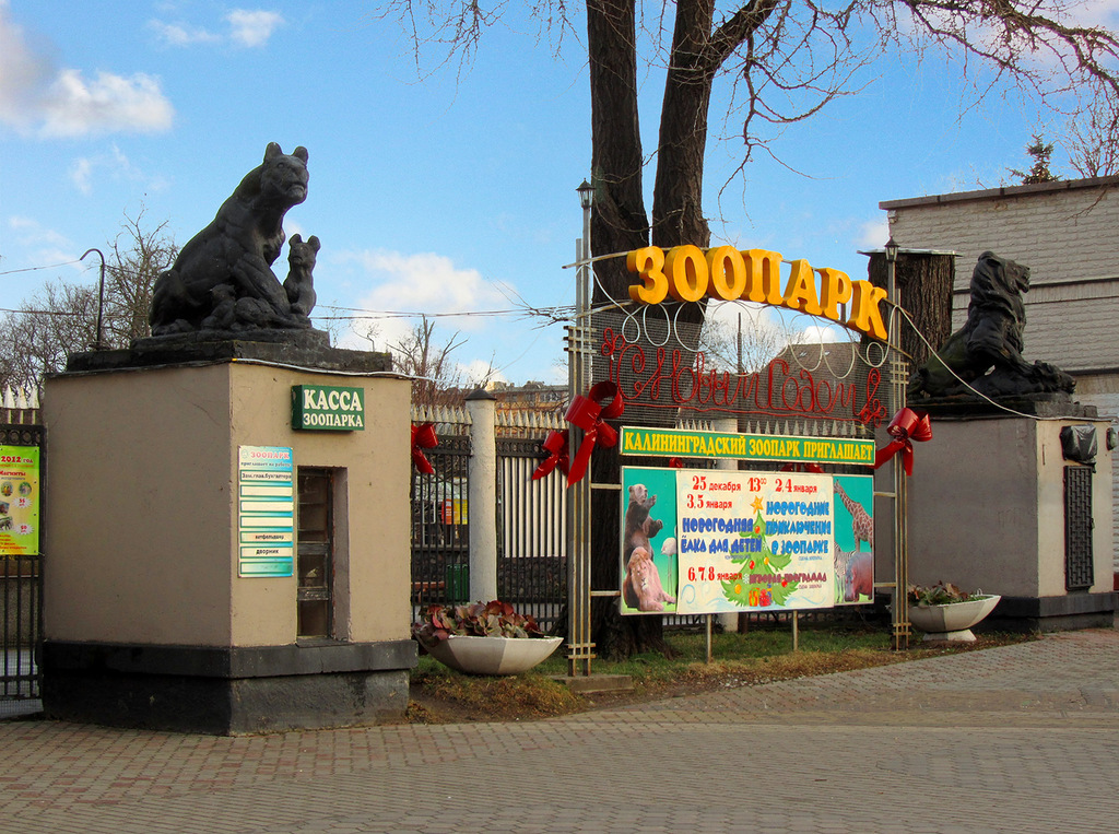 зоопарк Калининграда