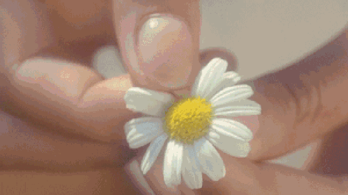 Гифка гадание 55