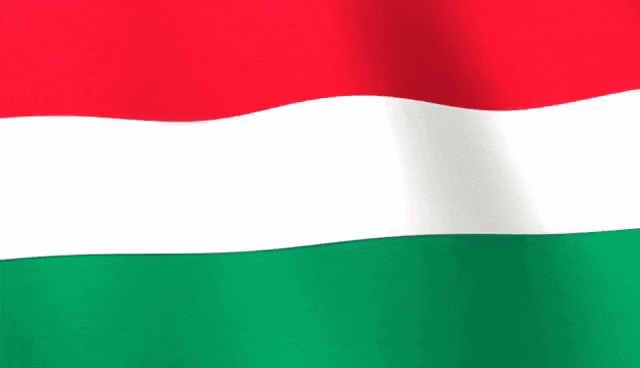 Флаг Венгрии 7 Flag of Hungary 7