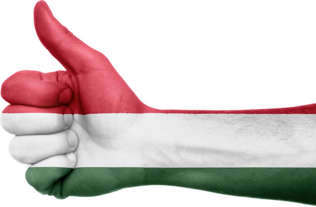 Флаг Венгрии 10 Flag of Hungary 10