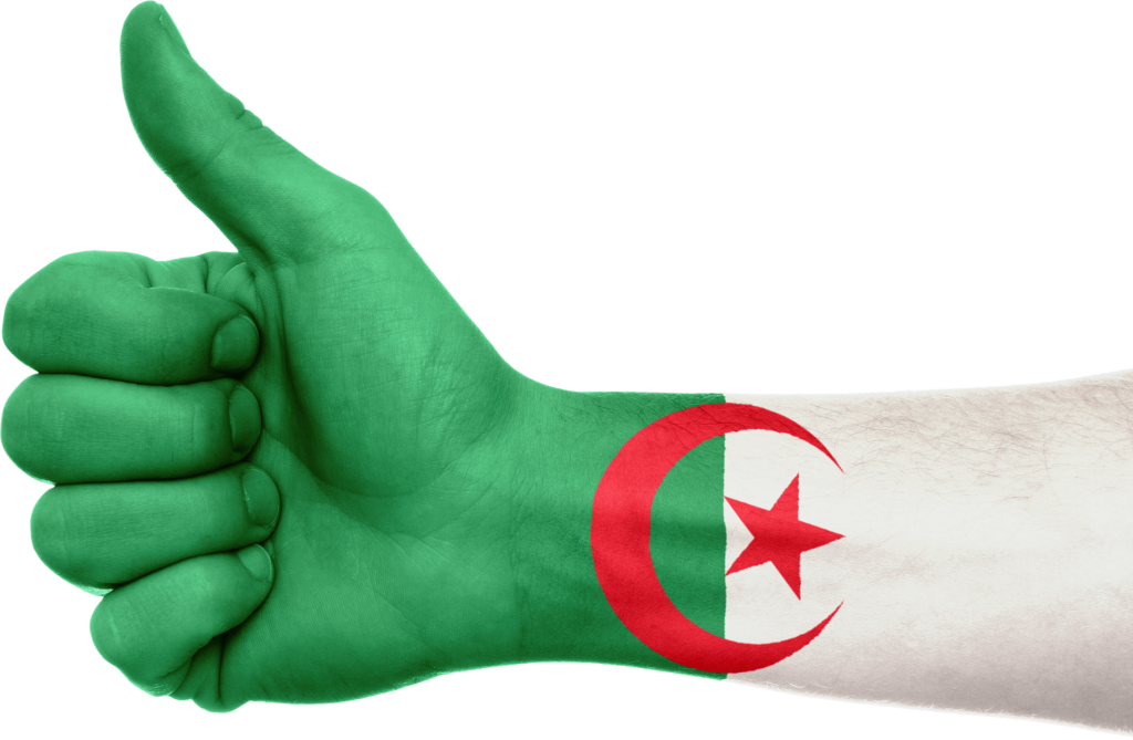 Флаг Алжира 11 Flag of Algeria 11