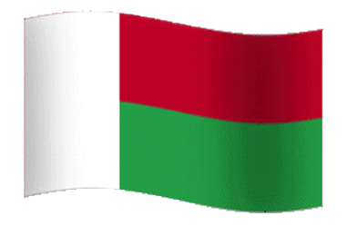 Флаг Мадагаскара 4 Flag of Madagascar 4