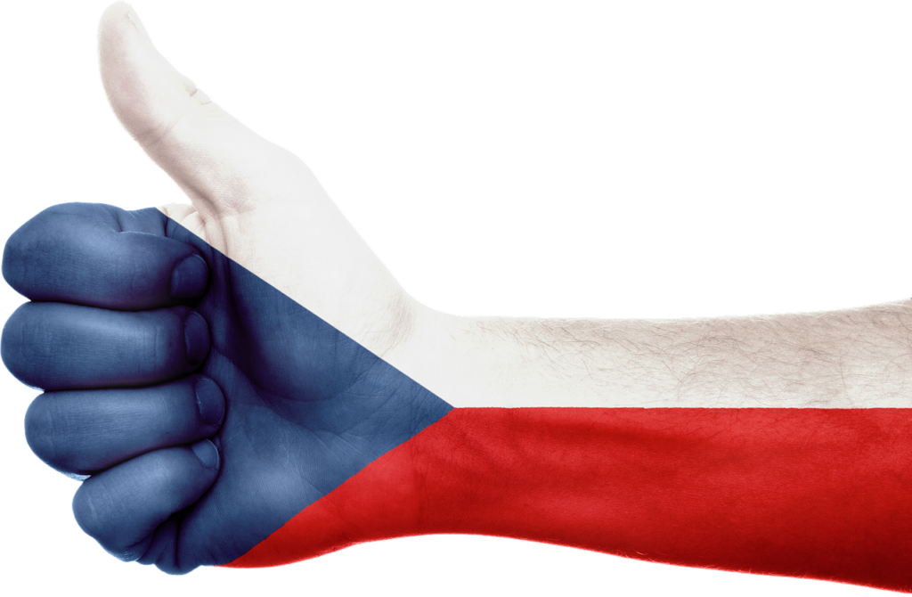 Флаг Чехии 30 Flag of the Czech Republic 30