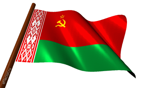 Флаг Белоруссии 20 Flag of Belarus 20