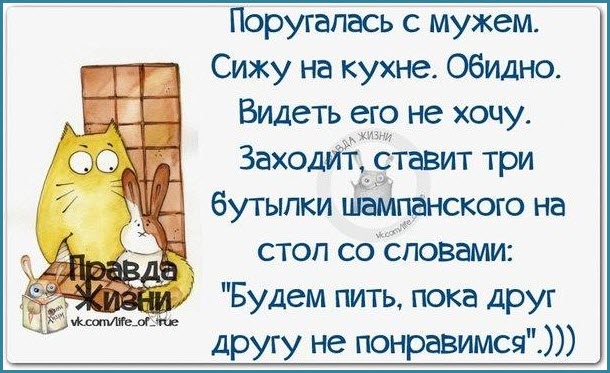 Вот так и выпить не грешно